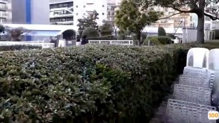 茜茜_自慰_十二月二十九号